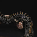 Articulated Chinese Dragon Figurine – Poseable Loong Collectible | Mythical Fantasy Model
