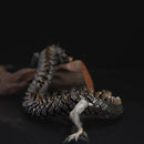 Articulated Chinese Dragon Figurine – Poseable Loong Collectible | Mythical Fantasy Model