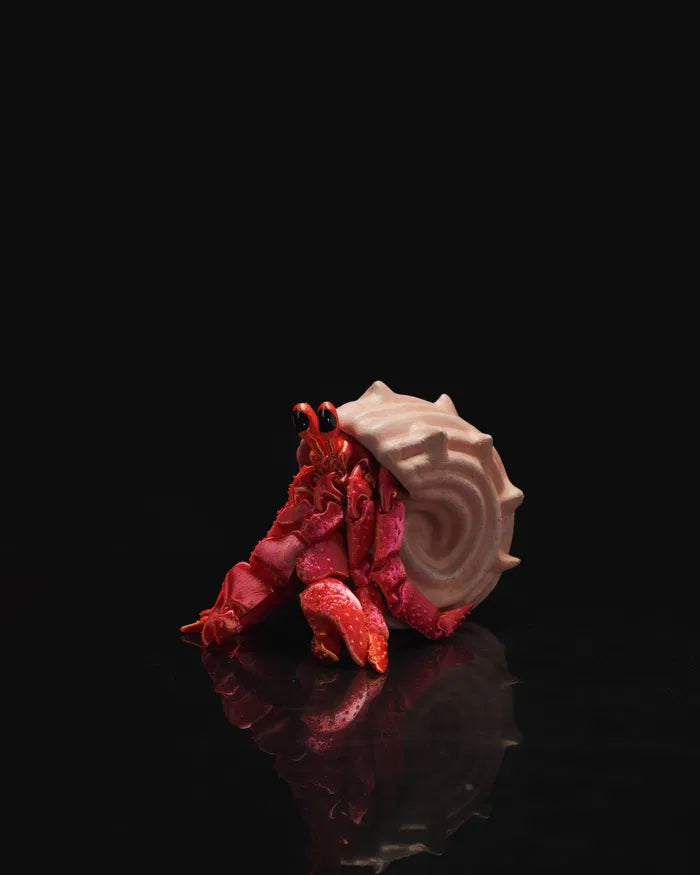 Articulated Hermes – The Hermit Crab Figurine