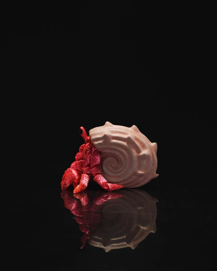 Articulated Hermes – The Hermit Crab Figurine
