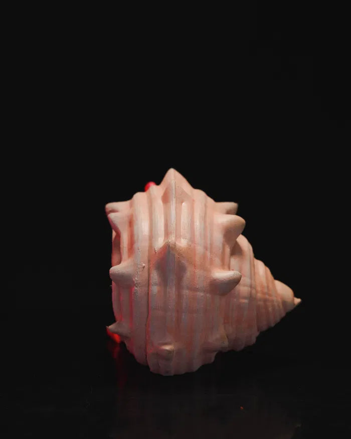 Articulated Hermes – The Hermit Crab Figurine