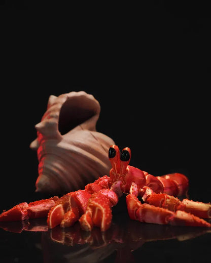 Articulated Hermes – The Hermit Crab Figurine