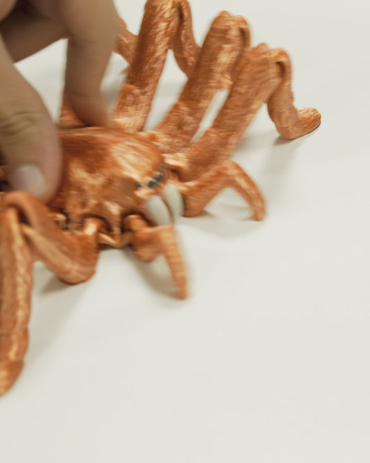 Articulated Tarantula | Poseable 3D Printed Spider Toy