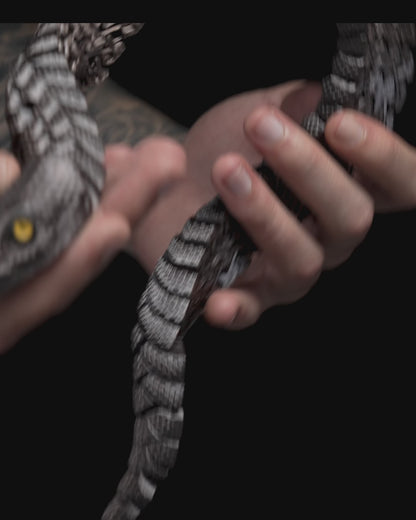 Articulated Bush Viper – Customizable Poseable Snake Model
